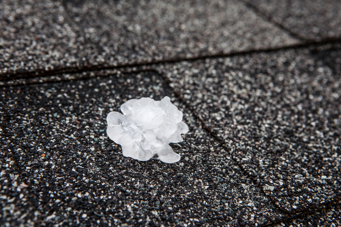 Storm & Hail Damage